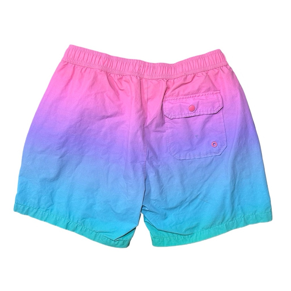 Marine Layer Ombré Swim Trunks size Small - Picture 2 of 6